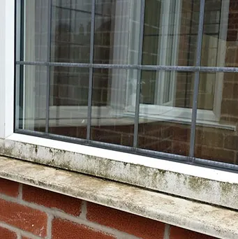 Before Window Cleaning