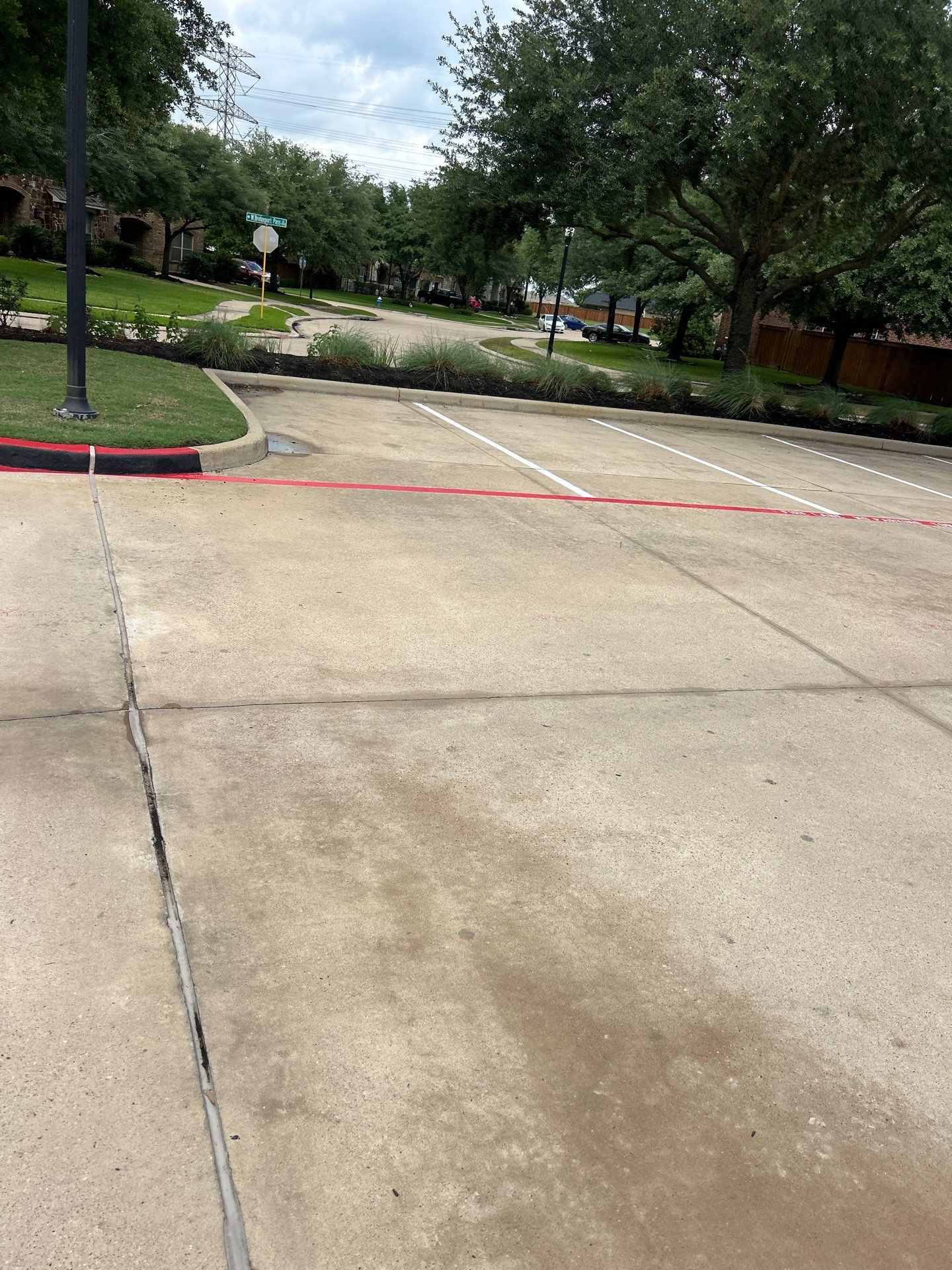 Professional Window Cleaning