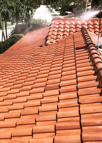 After Roof Cleaning